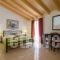 Apartments Villa Apostolis_lowest prices_in_Villa_Epirus_Preveza_Parga