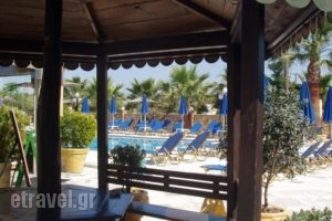 Paradise Apartments_best prices_in_Apartment_Ionian Islands_Zakinthos_Agrilia