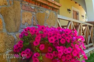 Trikalioti'S Estate_holidays_in_Hotel_Peloponesse_Ilia_Pyrgos