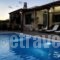 Maistros Villa_holidays_in_Villa_Crete_Rethymnon_Plakias