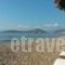 Argolic Strand Camping_best prices_in_Hotel_Peloponesse_Arcadia_Astros