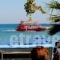 Lido Star Beach_holidays_in_Hotel_Dodekanessos Islands_Rhodes_Kallithea