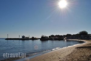 Lido Star Beach_best prices_in_Hotel_Dodekanessos Islands_Rhodes_Kallithea