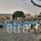Asteras Paradise_holidays_in_Hotel_Cyclades Islands_Paros_Paros Chora