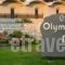 Olympian Bay_holidays_in_Hotel_Thessaly_Larisa_Ambelakia