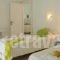 Polixeni Apartments_holidays_in_Apartment_Ionian Islands_Paxi_Paxi Chora
