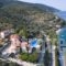 Muses Villas_holidays_in_Villa_Sporades Islands_Skopelos_Skopelos Chora