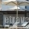 Roses Beach Hotel_lowest prices_in_Hotel_Cyclades Islands_Paros_Paros Chora