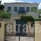 Villa Regina Galaxidi_accommodation_in_Villa_Central Greece_Fokida_Galaxidi