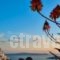 Fira White Residence_lowest prices_in_Hotel_Cyclades Islands_Sandorini_Sandorini Chora