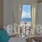 Amaryllis Beach Hotel_best prices_in_Hotel_Cyclades Islands_Paros_Paros Rest Areas