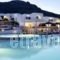 Hotel Mediterranean_accommodation_in_Hotel_Cyclades Islands_Paros_Paros Chora