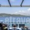 Agni Studios_best prices_in_Hotel_Ionian Islands_Lefkada_Vasiliki