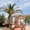 Galissas Studios_lowest prices_in_Hotel_Cyclades Islands_Syros_Galissas
