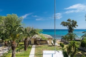 Albouro Seafront Apartments_travel_packages_in_Ionian Islands_Kefalonia_Katelios