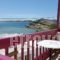 Hotel Palatia_holidays_in_Hotel_Cyclades Islands_Naxos_Naxos chora