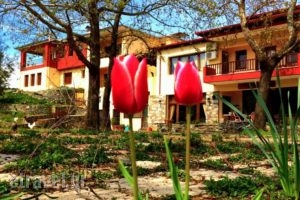 Evridiki_holidays_in_Hotel_Macedonia_Imathia_Vergina