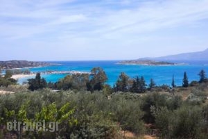 Marathi Panorama Rooms_accommodation_in_Room_Crete_Chania_Fournes