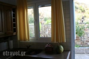 Fantastic View Apartment_lowest prices_in_Apartment_Dodekanessos Islands_Leros_Leros Chora