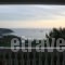 Fantastic View Apartment_best prices_in_Apartment_Dodekanessos Islands_Leros_Leros Chora