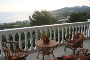 Fantastic View Apartment_best deals_Apartment_Dodekanessos Islands_Leros_Leros Chora