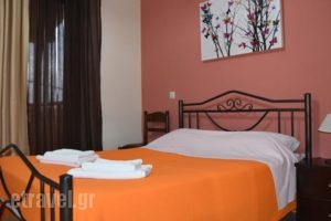Pansion Fani_lowest prices_in_Hotel_Macedonia_Halkidiki_Ierissos