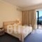 Ionion Star_accommodation_in_Hotel_Ionian Islands_Lefkada_Lefkada Chora