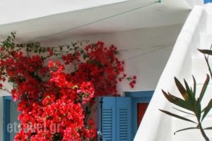 Holiday Home Sikinos_travel_packages_in_Cyclades Islands_Sikinos_Sikinos Chora