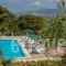 Ionian Vista_lowest prices_in_Hotel_Ionian Islands_Kefalonia_Argostoli