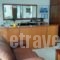 Hotel Evagelia_lowest prices_in_Hotel_Thessaly_Larisa_Ambelakia