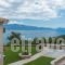 Lefkas Properties_travel_packages_in_Ionian Islands_Lefkada_Vasiliki