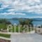 Lefkas Properties_holidays_in_Hotel_Ionian Islands_Lefkada_Vasiliki