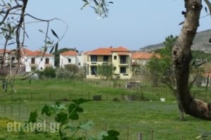 Elektra Apartments & Studios_accommodation_in_Apartment_Aegean Islands_Lesvos_Petra