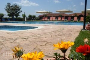 Denis Hotel and Bungalows_best deals_Hotel_Macedonia_Pieria_Korinos