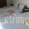Felitsia Apartments & Studios_lowest prices_in_Apartment_Thessaly_Magnesia_Mouresi