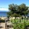 Hotel Elektra_holidays_in_Hotel_Aegean Islands_Thassos_Thassos Chora