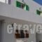 Eleftheria Rooms_accommodation_in_Room_Cyclades Islands_Antiparos_Antiparos Chora