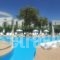 Palm Beach Hotel - Adults Only_best deals_Hotel_Dodekanessos Islands_Kos_Kos Chora