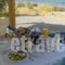 Evgenia Lemnos Seaside Resort_best prices_in_Hotel_Aegean Islands_Limnos_Myrina