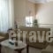 Dafni Studios_lowest prices_in_Hotel_Central Greece_Evia_Edipsos