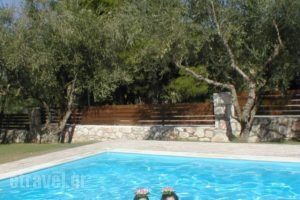Adamas Luxury Stone Villas_holidays_in_Villa_Ionian Islands_Zakinthos_Laganas