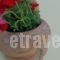 Ersi Villas_lowest prices_in_Villa_Cyclades Islands_Sandorini_Fira