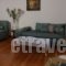Athens Family Apartments_holidays_in_Apartment_Central Greece_Attica_Moschato