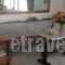 Galinos Hotel_holidays_in_Hotel_Cyclades Islands_Paros_Paros Rest Areas