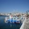 Kallirroi Studios_best prices_in_Apartment_Aegean Islands_Samos_Pythagorio