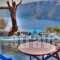 Pano Gitonia_travel_packages_in_Cyclades Islands_Amorgos_Amorgos Chora