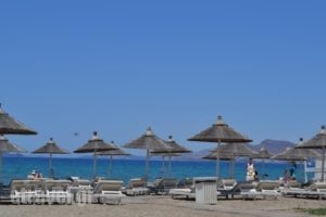 Diamond Deluxe Hotel - Adults Only_holidays_in_Hotel_Dodekanessos Islands_Kos_Kos Rest Areas