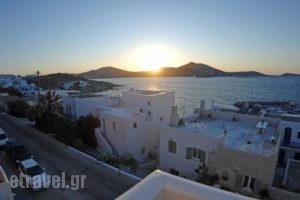 Irini Rooms_accommodation_in_Room_Cyclades Islands_Paros_Naousa