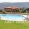 Cotes Des Oliviers_holidays_in_Hotel_Central Greece_Attica_Lavrio