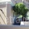 Rigo Apartments_lowest prices_in_Apartment_Dodekanessos Islands_Karpathos_Karpathosst Areas